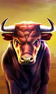 Black Bull